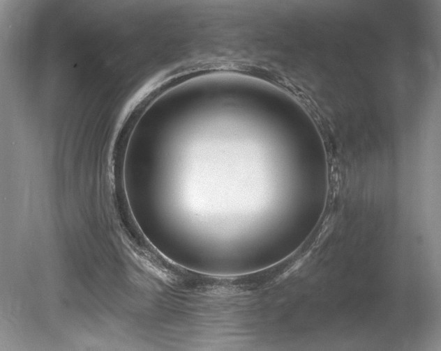X0000080150246200612081329