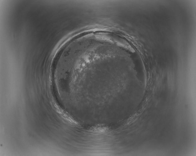 X0000080150247200612081329