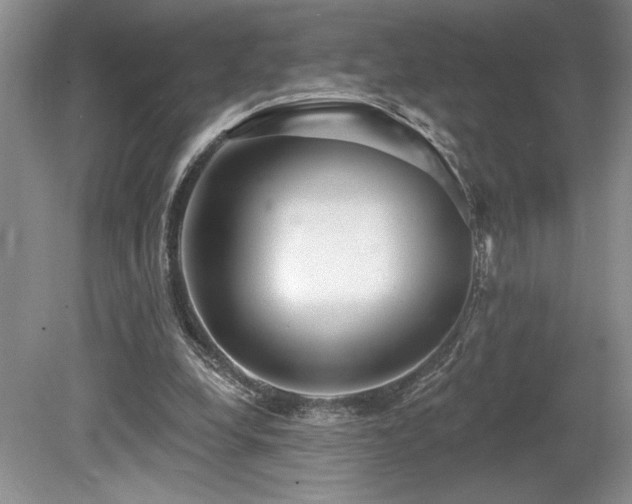 X0000080150248200612081329