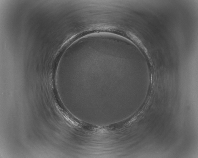 X0000080150249200612081329