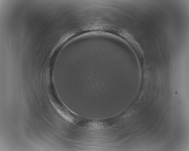 X0000080150250200612081329