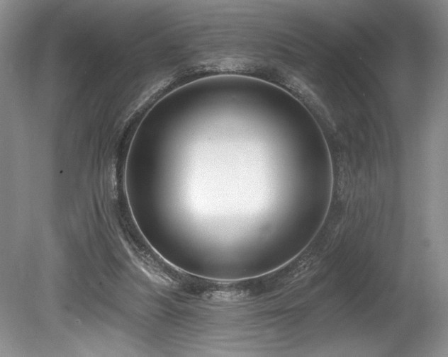 X0000080150251200612081329
