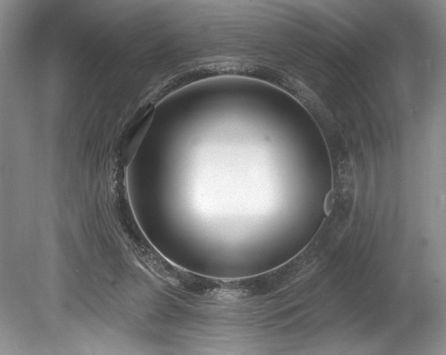 X0000080150255200612081329