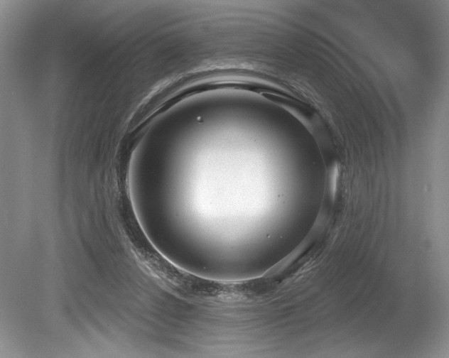 X0000080150256200612081329