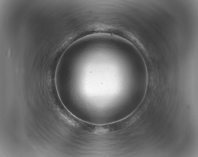 X0000080150257200612081329