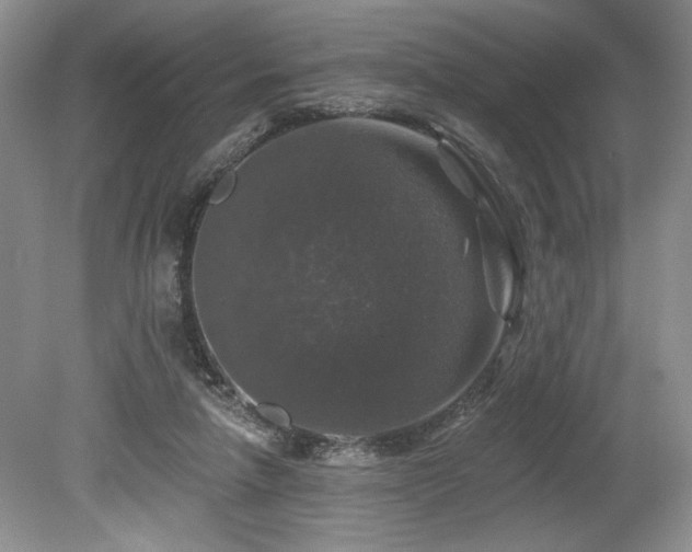 X0000080150258200612081329