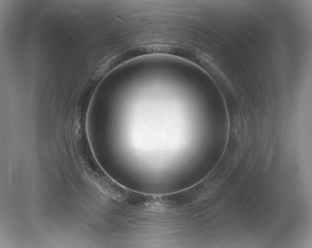 X0000080150259200612081329