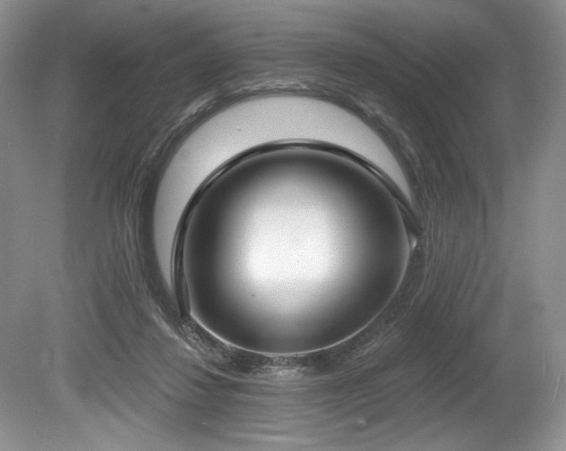 X0000080150260200612081329