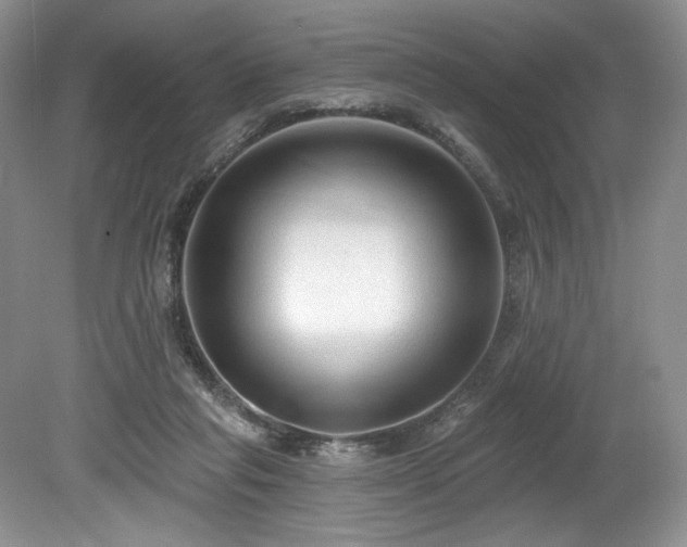 X0000080150261200612081329