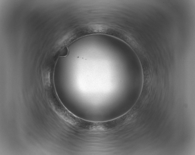 X0000080150262200612081329