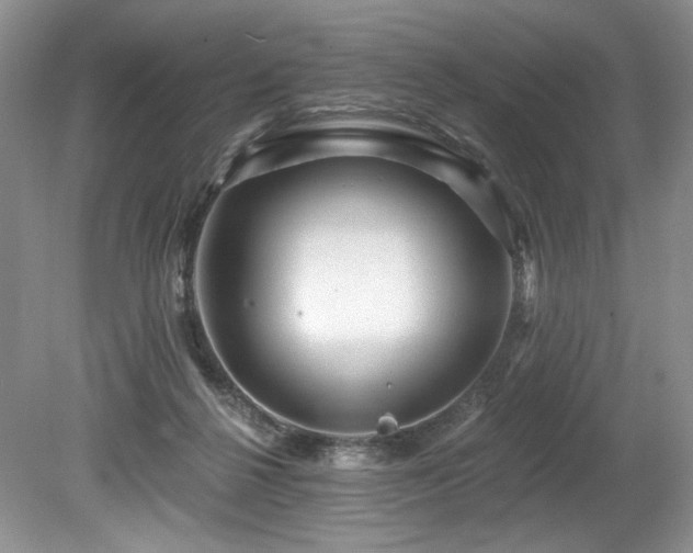 X0000080150264200612081329