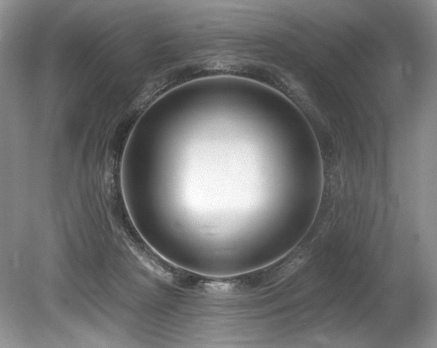 X0000080150265200612081329