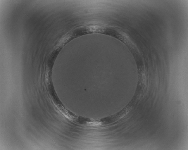 X0000080150266200612081329