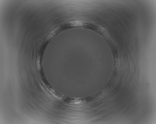 X0000080150267200612081329