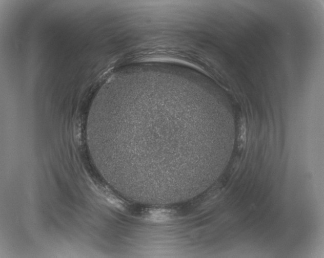 X0000080150268200612081329