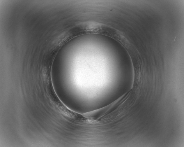 X0000080150270200612081329