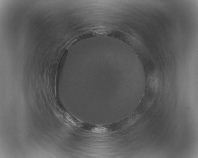 X0000080150271200612081329