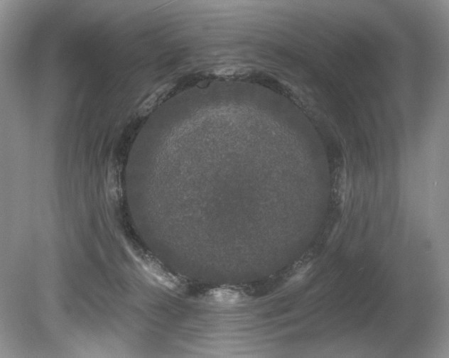 X0000080150272200612081329