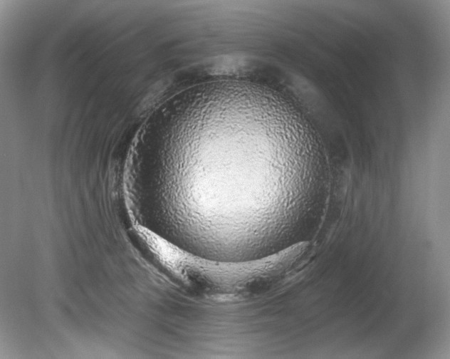 X0000080150273200612081329