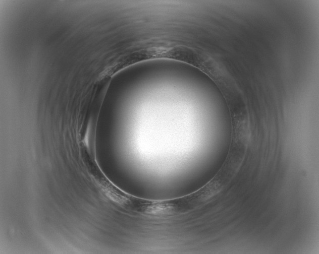 X0000080150274200612081329