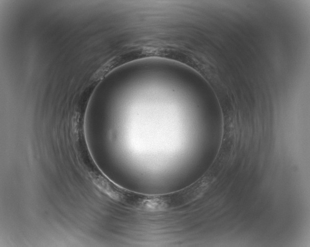 X0000080150275200612081329