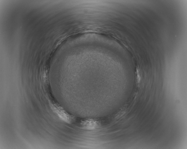 X0000080150276200612081329