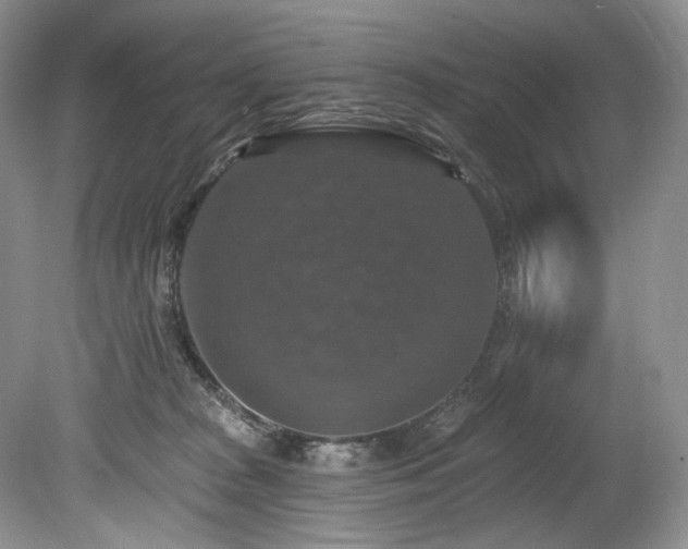 X0000080150277200612081329