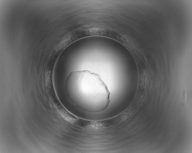 X0000080150278200612081329