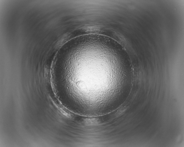 X0000080150281200612081329