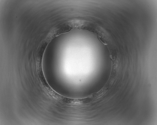 X0000080150283200612081330