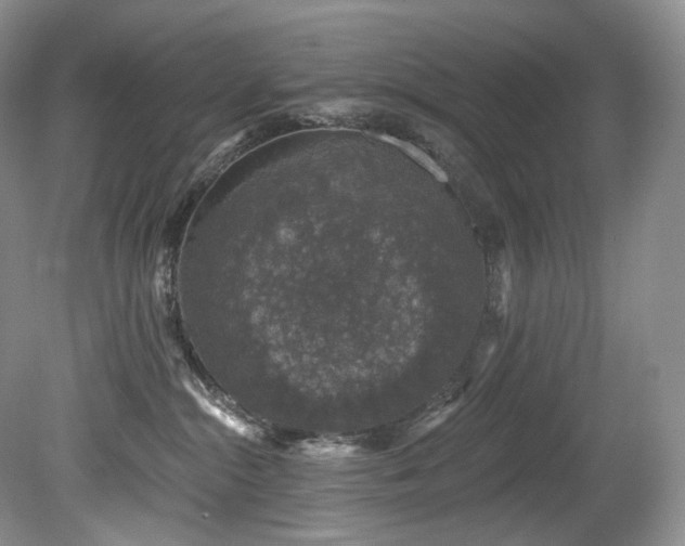 X0000080150284200612081330