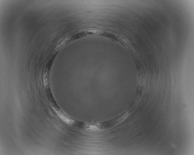 X0000080150285200612081330