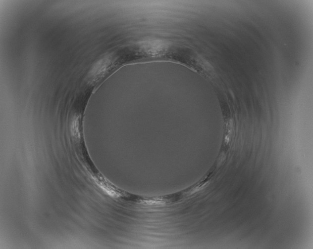 X0000080150286200612081330