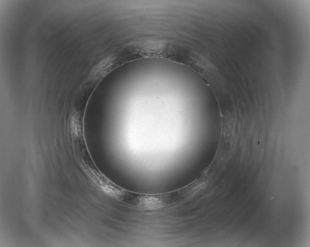 X0000080150287200612081330