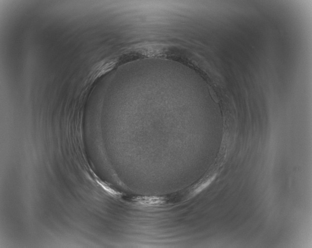 X0000080150288200612081330