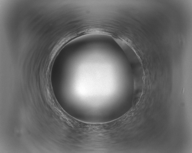 X0000080150289200612081329