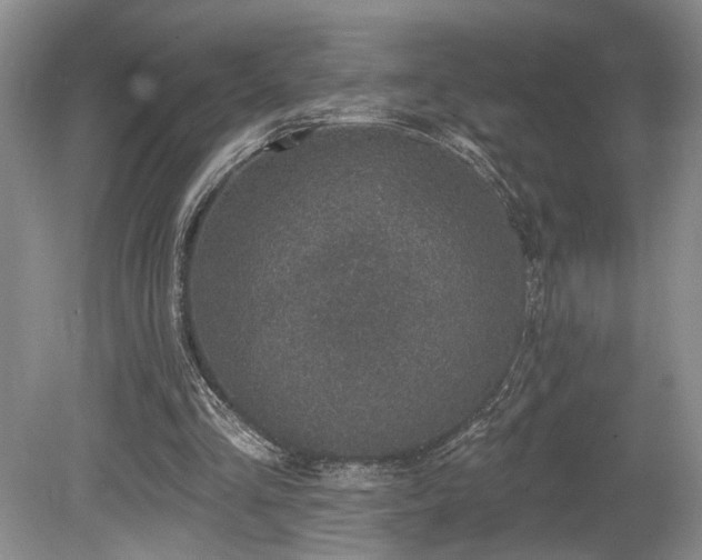 X0000080150293200612081329