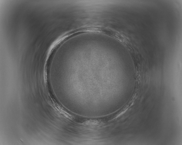 X0000080150294200612081329