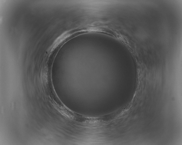 X0000080150295200612081329