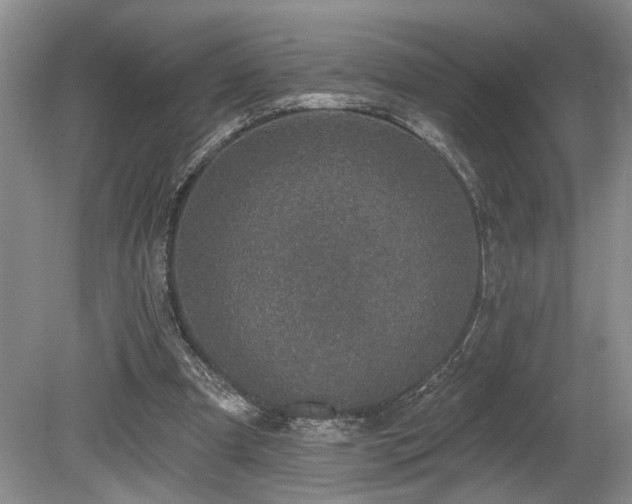 X0000080150297200612081329