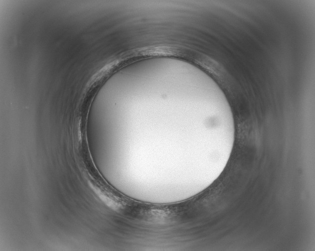 X0000080150302200612081329