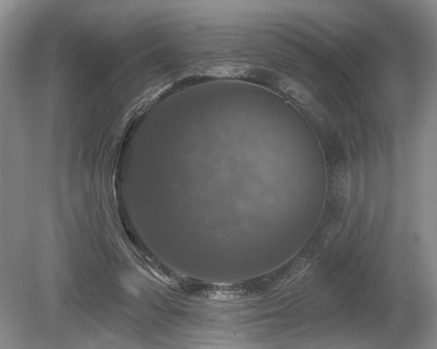 X0000080150303200612081329