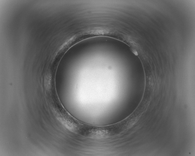 X0000080150304200612081329