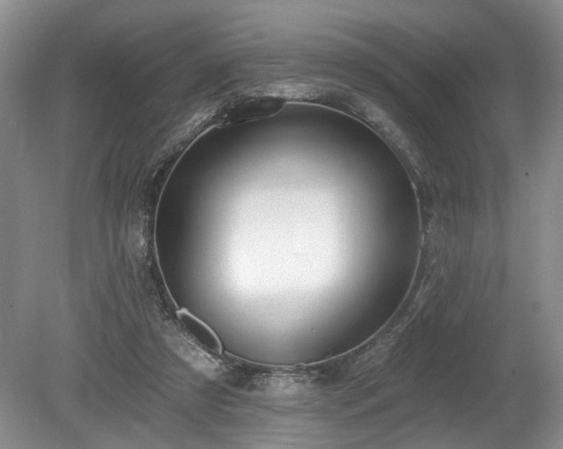 X0000080150305200612081329