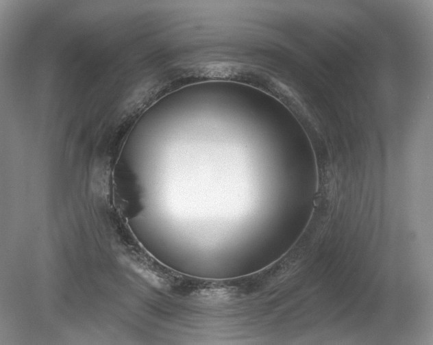 X0000080150307200612081329