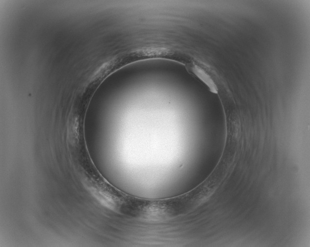 X0000080150308200612081328