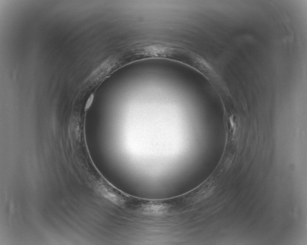 X0000080150313200612081328