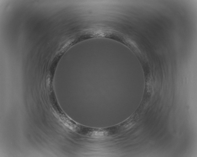X0000080150314200612081328