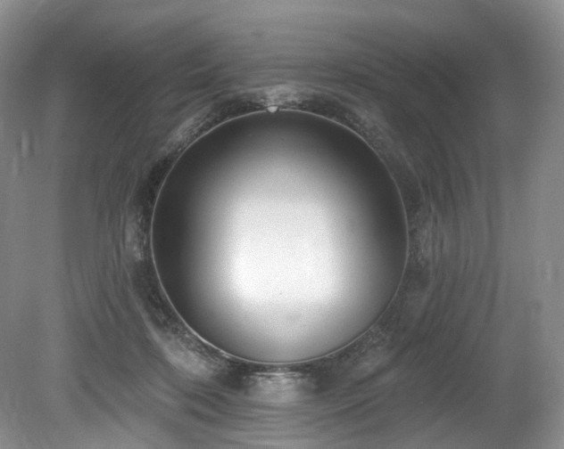 X0000080150316200612081328