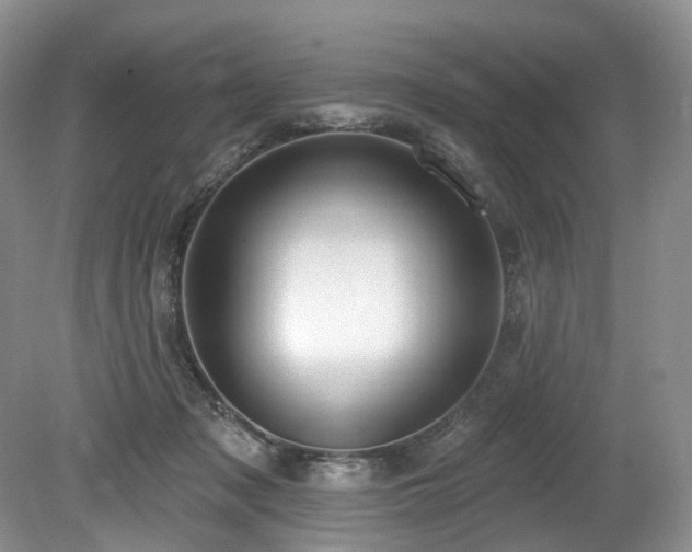 X0000080150317200612081328